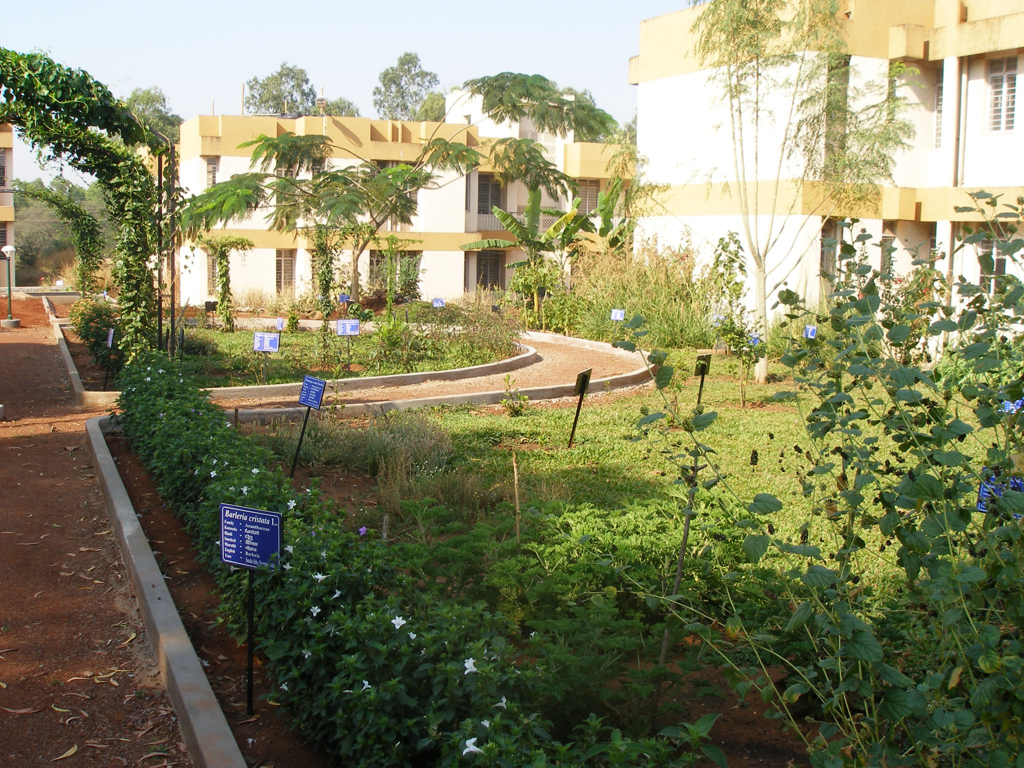Herbal Garden ICMRNITM, Belagavi